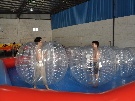 bumper ball